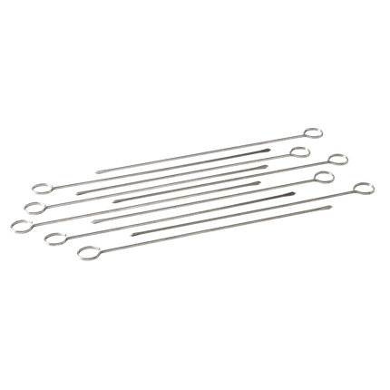 Barbecook set van 10 RVS spiesen