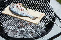 Barbecook Loewy BBQ